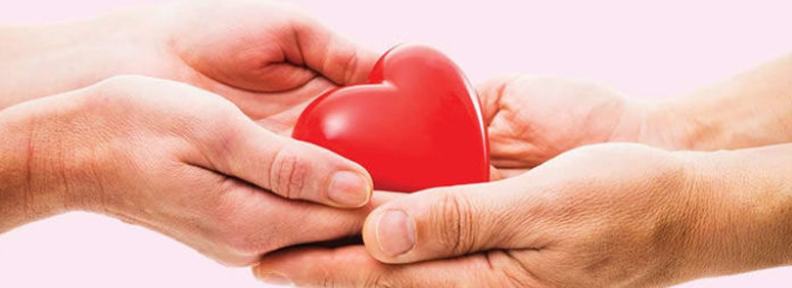 Organ nakil sürecinde nelere dikkat edilmeli 3 9 kasım organ nakli haftası