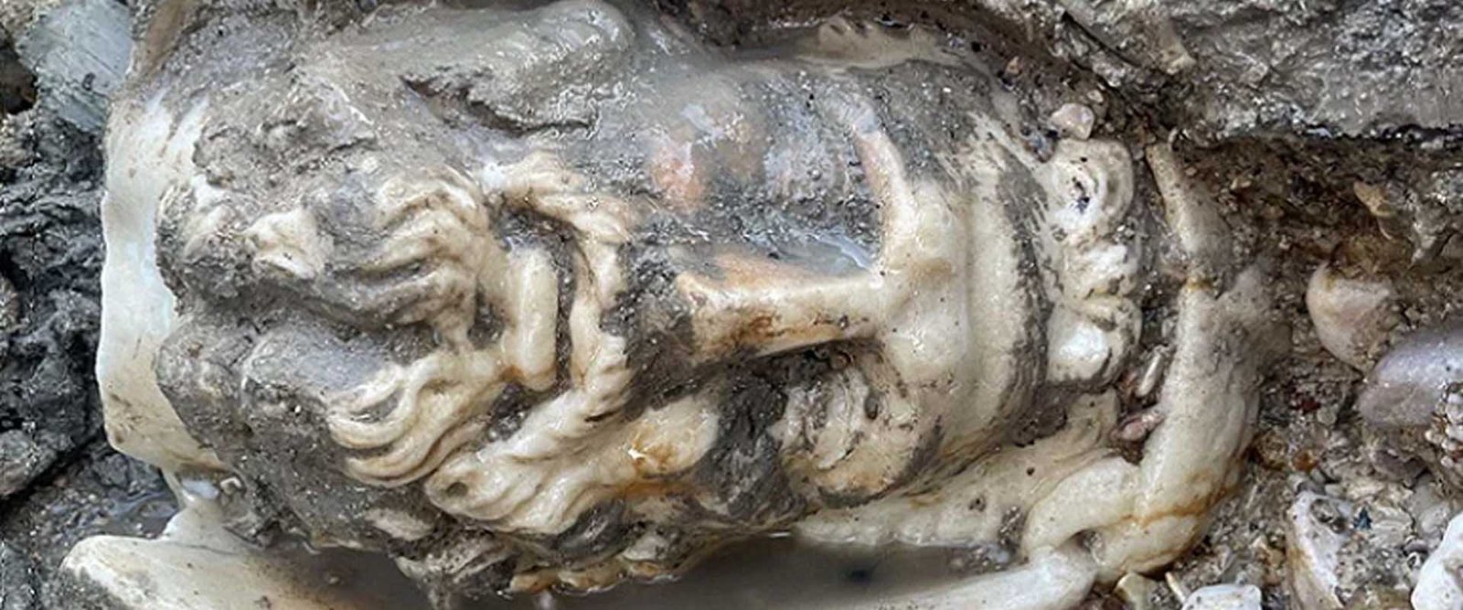 2 bin yıllık yunan mitolojisi tanrılarının heykel başları bulundu (6)