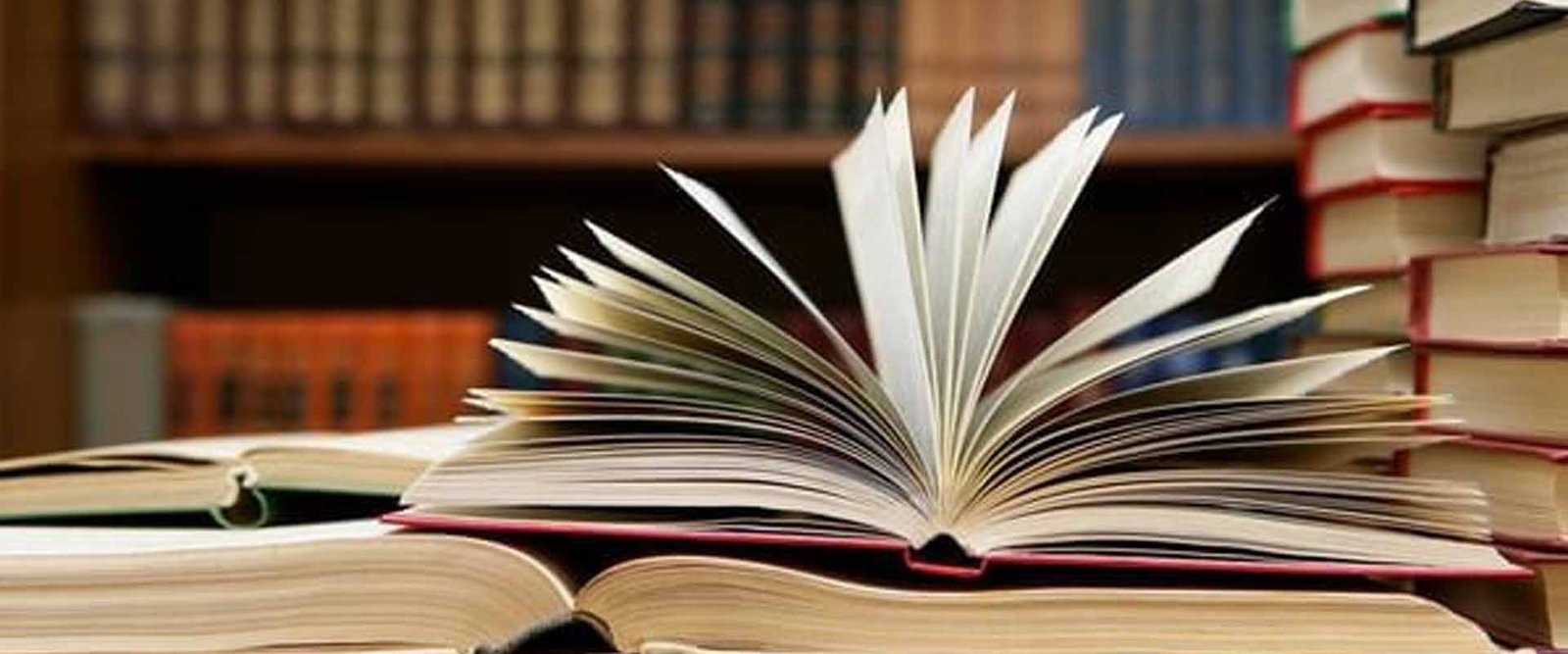 2022 yılında en çok satan edebiyat kitaplarının listesi