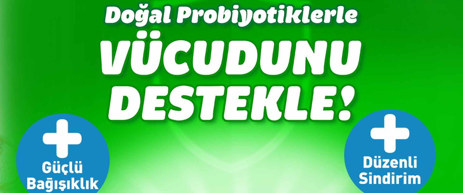 Selin dora falay, İçim probiyotik yoğurt bağışıklığı destekleyin ve sindirim sistemini düzenleyin (3)