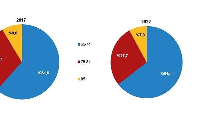 Tuik yasli nufus 8 milyon 451 bin 669 kisi oldu 1685.jpg