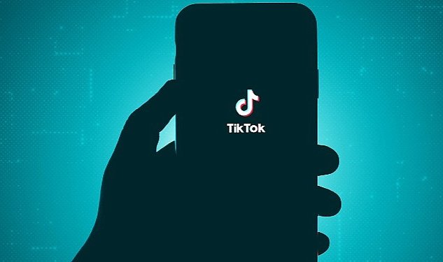 Tiktok ta gizliligi korumanin bes yolu 8737.jpg