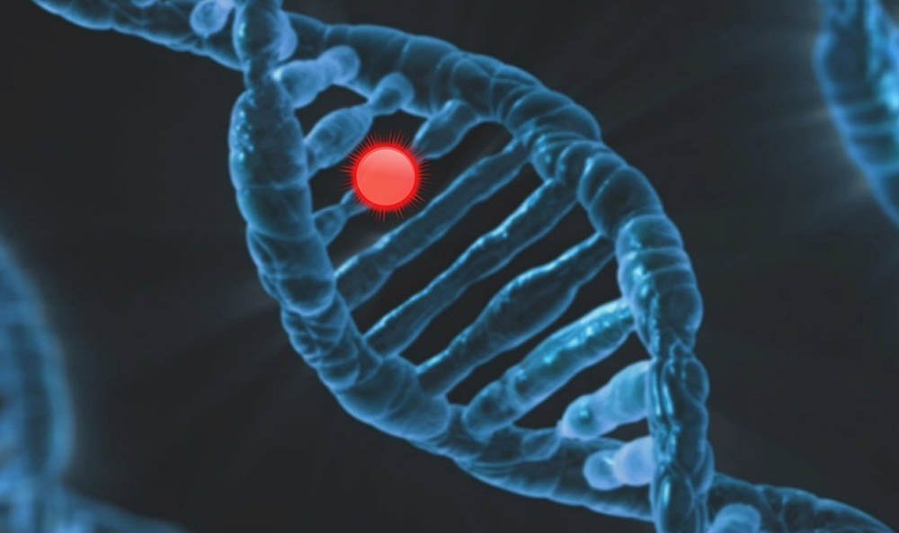 Epigenetik Dönüşüm Genetik Aktarımın Ötesinde (1)