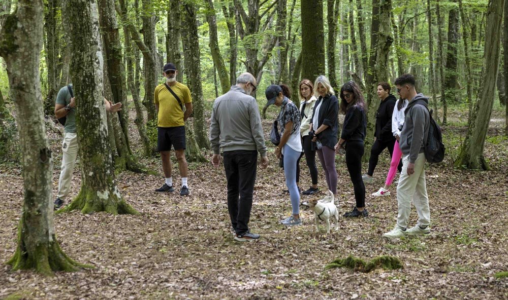 Seamlesstance Global Wellness Day (2)