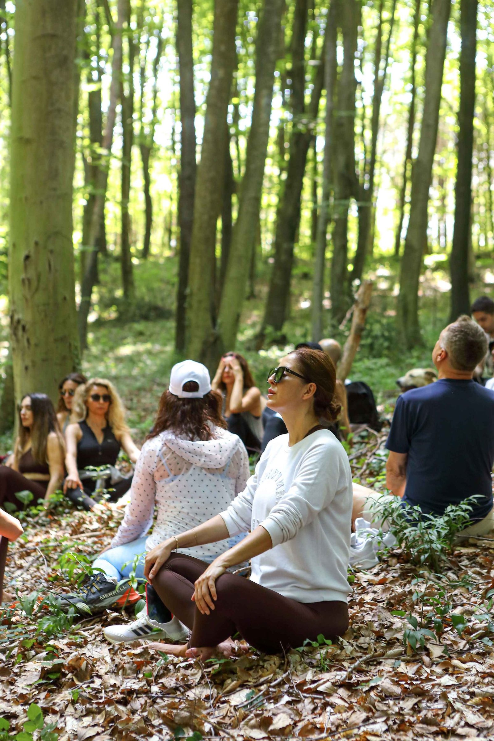 Ayşe Tolga Orman Terapisi Seamlesstance Doğa Deneyimi (22)