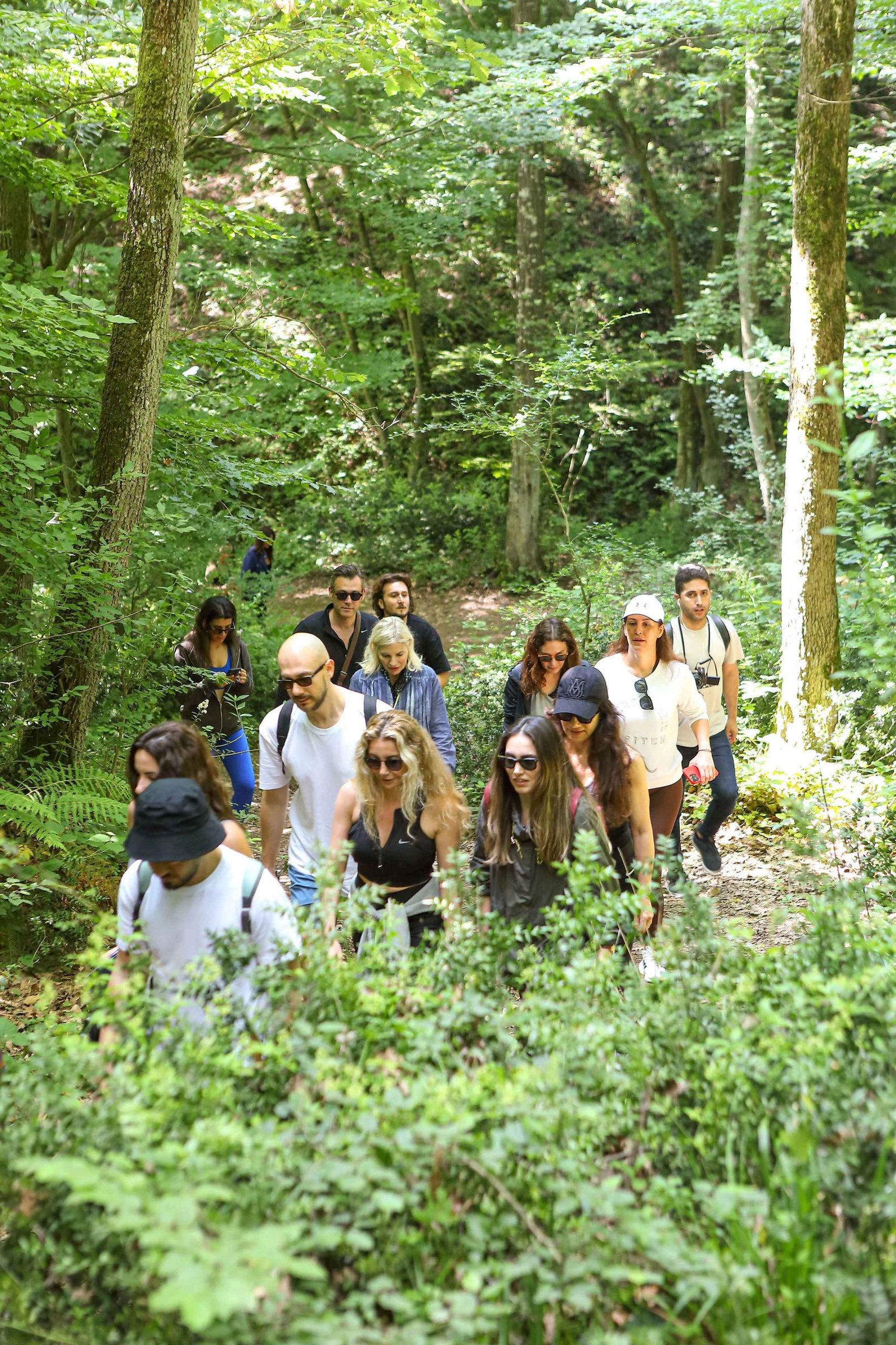 Ayşe Tolga Orman Terapisi Seamlesstance Doğa Deneyimi (3)