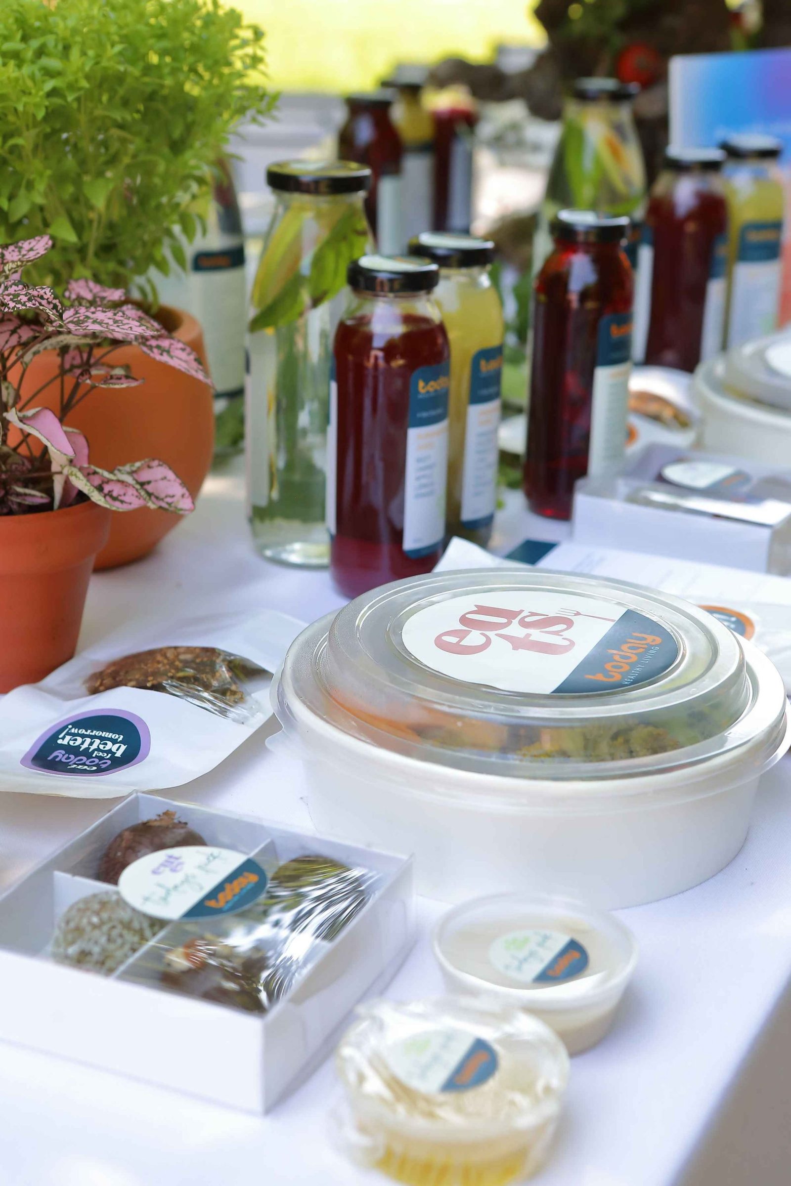 Ayşe Tolga Orman Terapisi Seamlesstance Doğa Deneyimi (47)