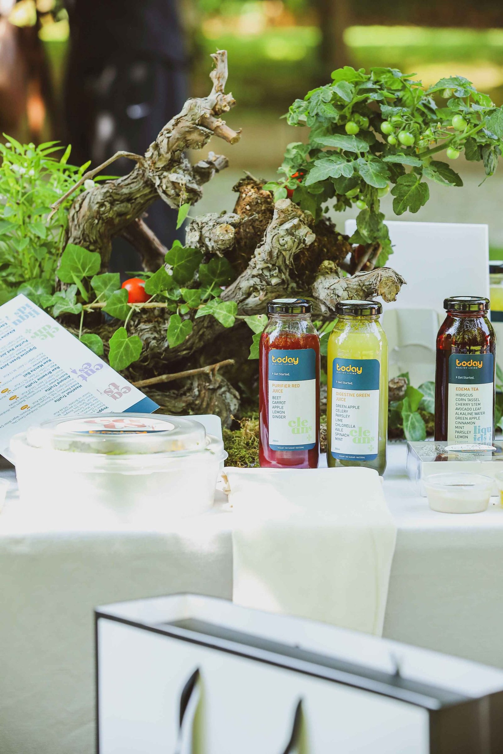 Ayşe Tolga Orman Terapisi Seamlesstance Doğa Deneyimi (51)