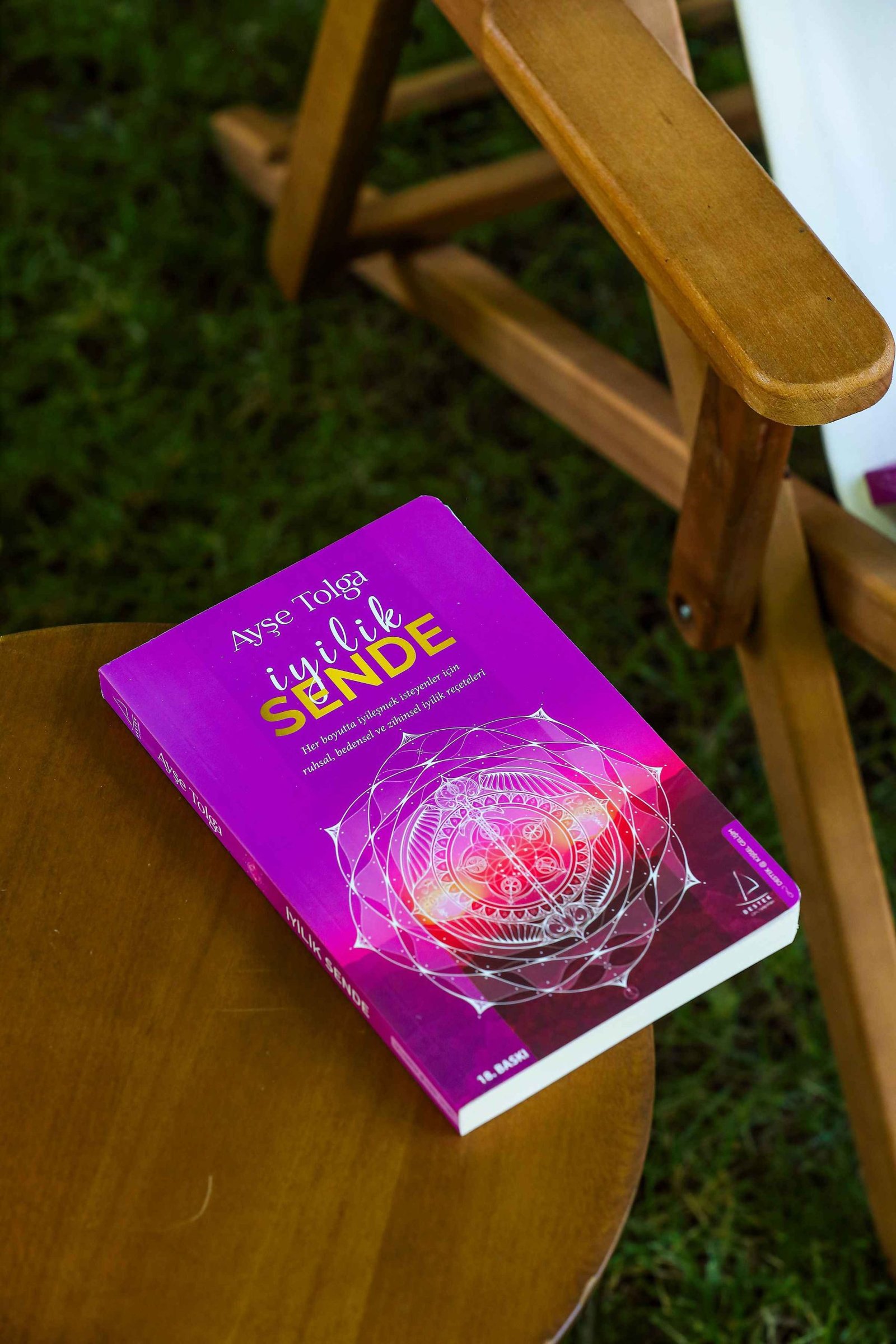 Ayşe Tolga Orman Terapisi Seamlesstance Doğa Deneyimi (53)