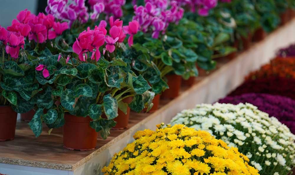 İstanbul Peyzaj Fuarı (LIF) 2023 Büyük Beklentiler, Büyük Katılım (4)