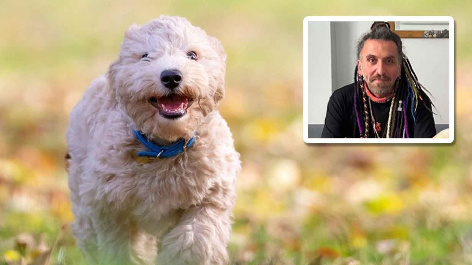 Köpek eğitiminde empati devrimini başlatan dahi sait emre güneş (2)