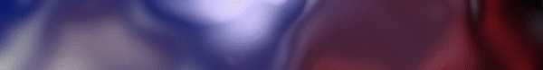 Köpek eğitimi banner 2